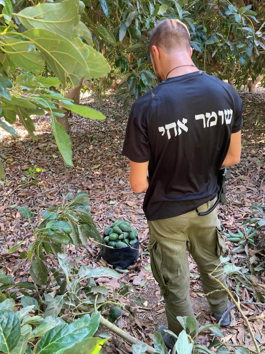 אחד המתנדבים (צילום: באדיבות השומר החדש)